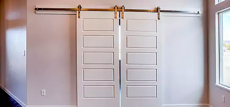 Glass Barn Door with Installation Hardware Kit Irondequoit