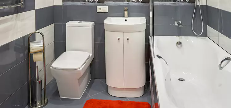 Hansgrohe Shaving Mirror Irondequoit
